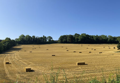 Bath Uni Living - Beautiful surroundings